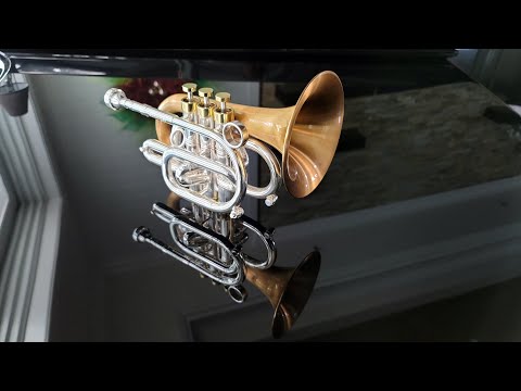 CarolBrass® CPT-9392-RLM(D)-Bb-BC Pocket Trumpet Demo #1