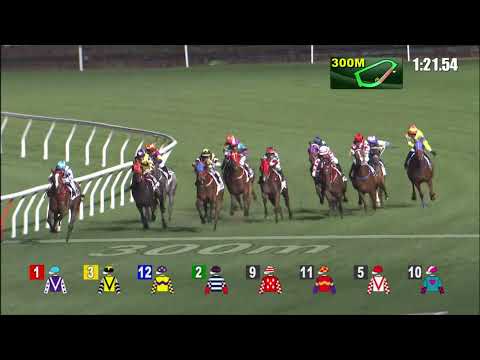 22/12/2021 (275) Dr Winning - J Moreira