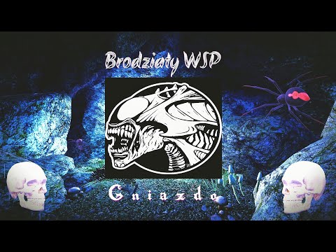 Brodziaty WSP - Gnivzdx (Prod.S.Under Beatz)