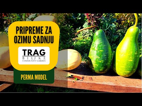 PREPARATION FOR WINTER PLANTING (2022) [TRACE OF THE PLANT]