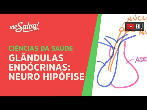 Me Salva! GEP09 - Glândulas Endócrinas: Neuro Hipófise - Histologia Humana