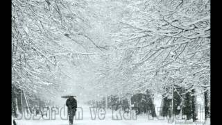 Kar taneleri nilüfer nostalji