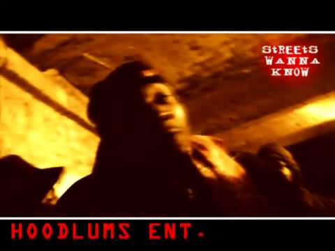 HOODLUMZ ENT. FREESTYLE