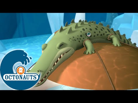 Octonauts -  Le crocodile grincheux | Dessins animés pour enfants
