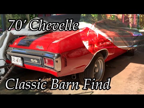 1970 Chevelle Malibu | Barn Find