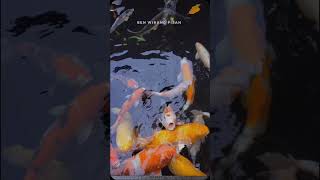 Download lagu Perempuan ini tidak bercerita, dia lebih memilih Teriak. #lovemusic #quotes #status #storywa mp3 Download lagu Perempuan ini tidak bercerita, dia lebih memilih Teriak. #lovemusic #quotes #status #storywa mp3
