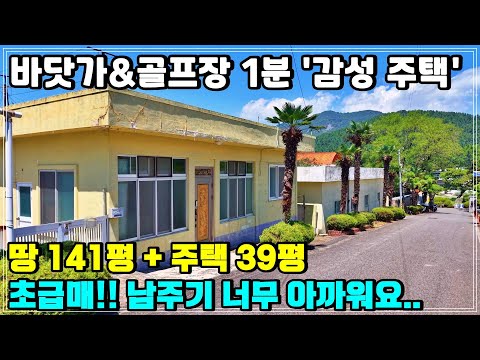 (Wow!) 80 million won house, yard, and parking lot! Jeju-style house for sale, 1 minute from the ...