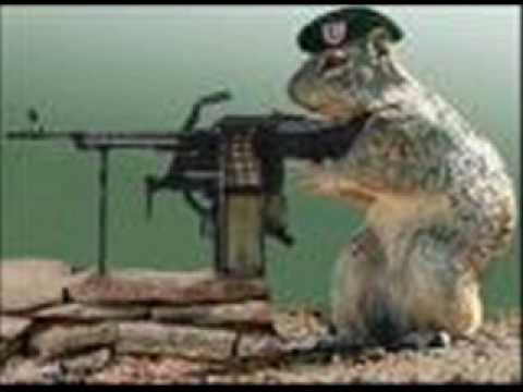 download lagu mp3 mp4 Animal Militia, download lagu Animal Militia gratis, unduh video klip Download Animal Militia Mp3 dan Mp4 Viral Gratis