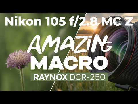 Raynox DCR-250 Super Macro Review (Nikon Z9 and Nikon 105mm MC Z Macro Lens)