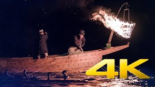 Ukai Cormorant Fishing - Gifu - 長良川鵜飼 - 4K Ultra HD