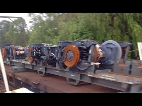 Train Spotting At Point Clare (Includes B series set)