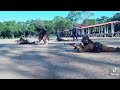 Sri Lanka Police Training
