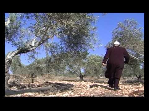 אהרון סגל אנא בכח הקליפ הרישמי Aharon Segal MFG Trance