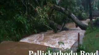 preview picture of video 'Floods in Kerala 16 August 2018'