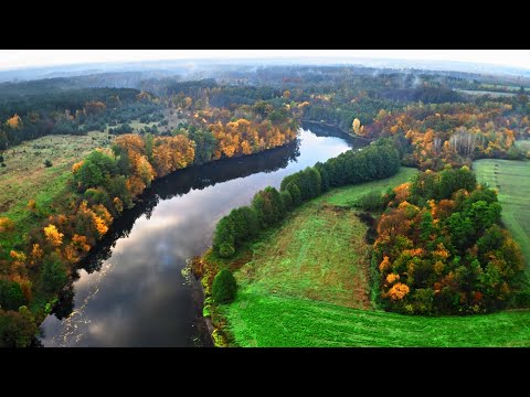Rooted and Reaching: 2025 Welcome Message from Jonathan Lee Walton