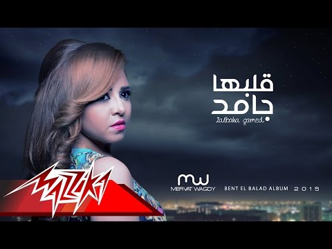 قلبها جامد ميرفت وجدي