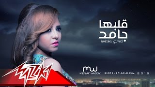 كلمات اغنية قلبها جامد ميرفت وجدي