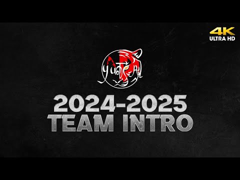YorkU TSA 2024-2025 Team Intro