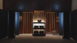 Bird on a Wire - Jennifer Warnes