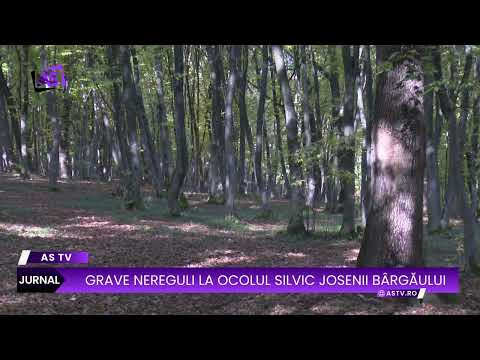 Grave nereguli la Ocolul Silvic Josenii Bârgăului