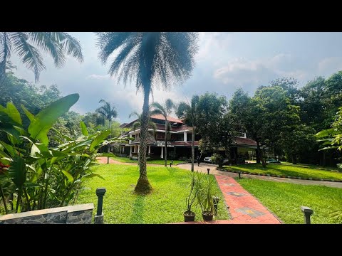 Premium Bungalow for Sale near Kakkanad, Ernakulam | 8 Acre’s, 16,000 Sqft, 6 BHK | Very Urgent Sale