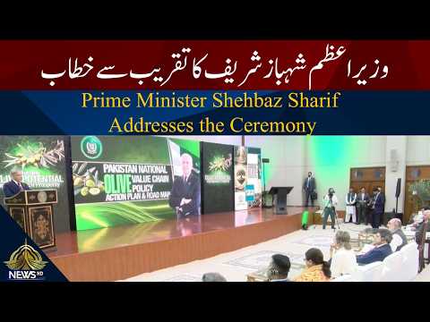 PTV News video