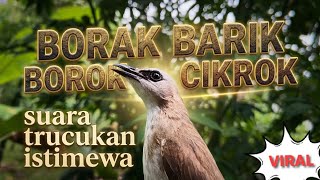 Download lagu ROPEL BORAK BARIK BOROK CIKROK TERAPI MASTERAN HANDAL mp3