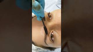 3D Realism Eybrows Microbladed by El Truchan @ Perfect Definition