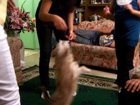 Susy bailando en cumpleanos de Ninette.