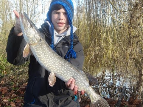 Pike Fishing: Wobbling deadbaits and lure fishing