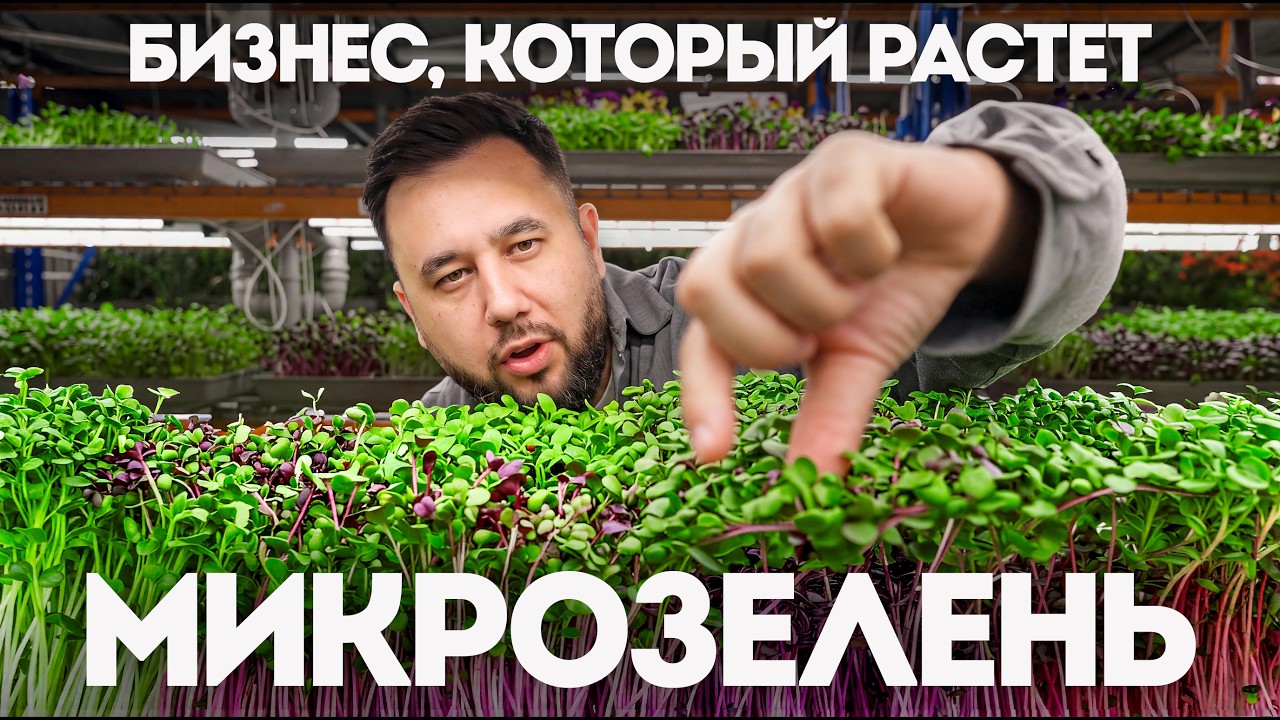 Я приехал на ферму микрозелени и показал, как здесь делают деньги. Бизнес на ?