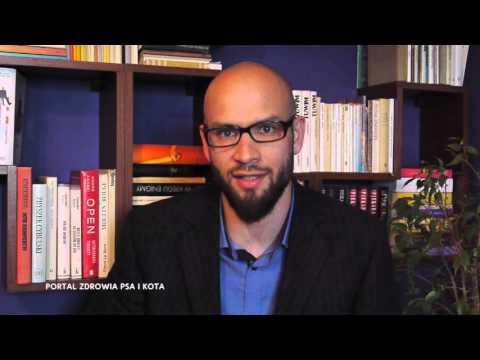 Weterynarz - pierwsza wizyta