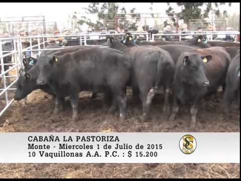 01-07-15 Ventas de Vaquillonas P.C. - Cabaña La Pastoriza - San Miguel del Monte.