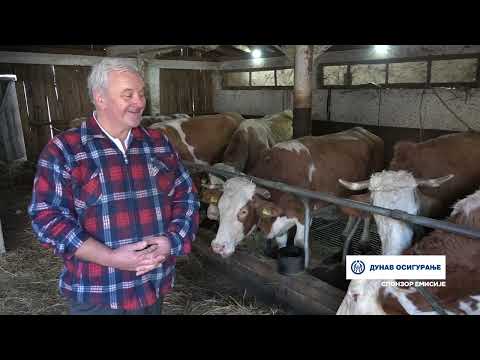 Naša priča ep. 538 25.12.2025. Donja Vrbava, mlečno govedarstvo, porodica Gojković