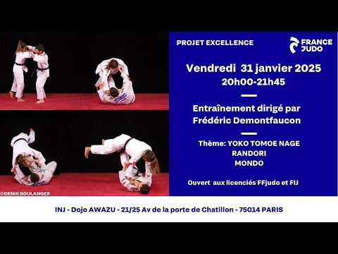 Projet Excellence Frederic Demontfaucon Yoko Tomoe Nage