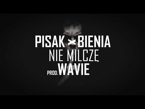 Pisak x Bienia - Nie Milczę prod. Wavie