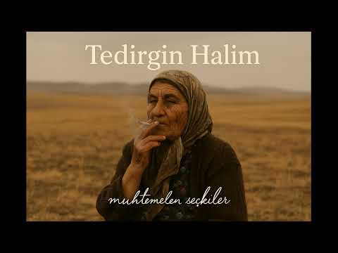 tedirgin halim. (no drums folk cover)