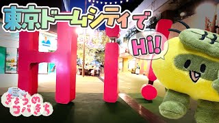 きょうのコバきち  コバすけ　東京ドームシティでハイ！