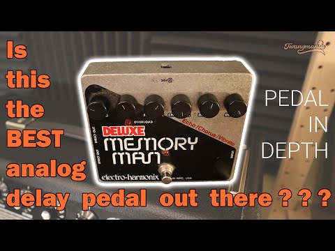 Pedal In Depth | Electro-Harmonix Deluxe Memory Man