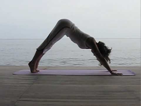 download lagu mp3 mp4 Anusara Yoga, download lagu Anusara Yoga gratis, unduh video klip Download Anusara Yoga Mp3 dan Mp4 Music Online Gratis