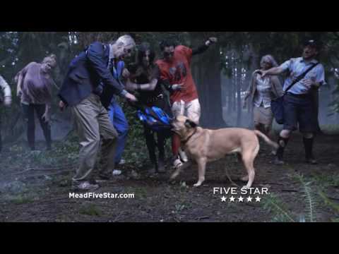 In FIVE STAR® 2016, Cinco the dog encounters zombies.