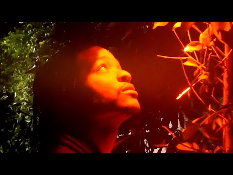 Supa Bwe - I Hate You (Official Video) (Dir. LONEWOLF)