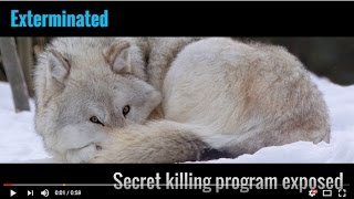 Exterminated: Secret killing program exposed