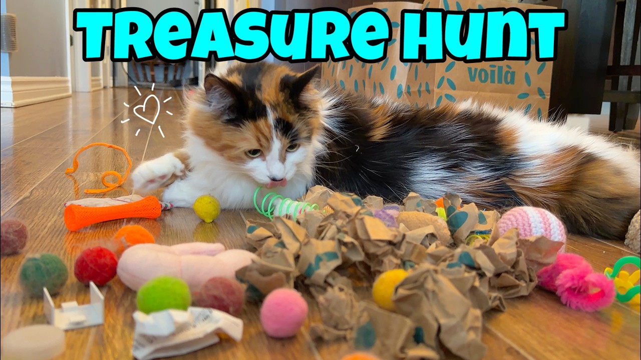 Treasure Hunting With My Cats 🪙