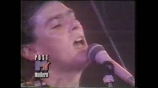1989 - MTV - Robyn Hitchcock