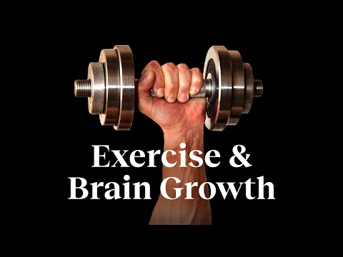 The #1 way to strengthen your mind is to use your body | Wendy Suzuki