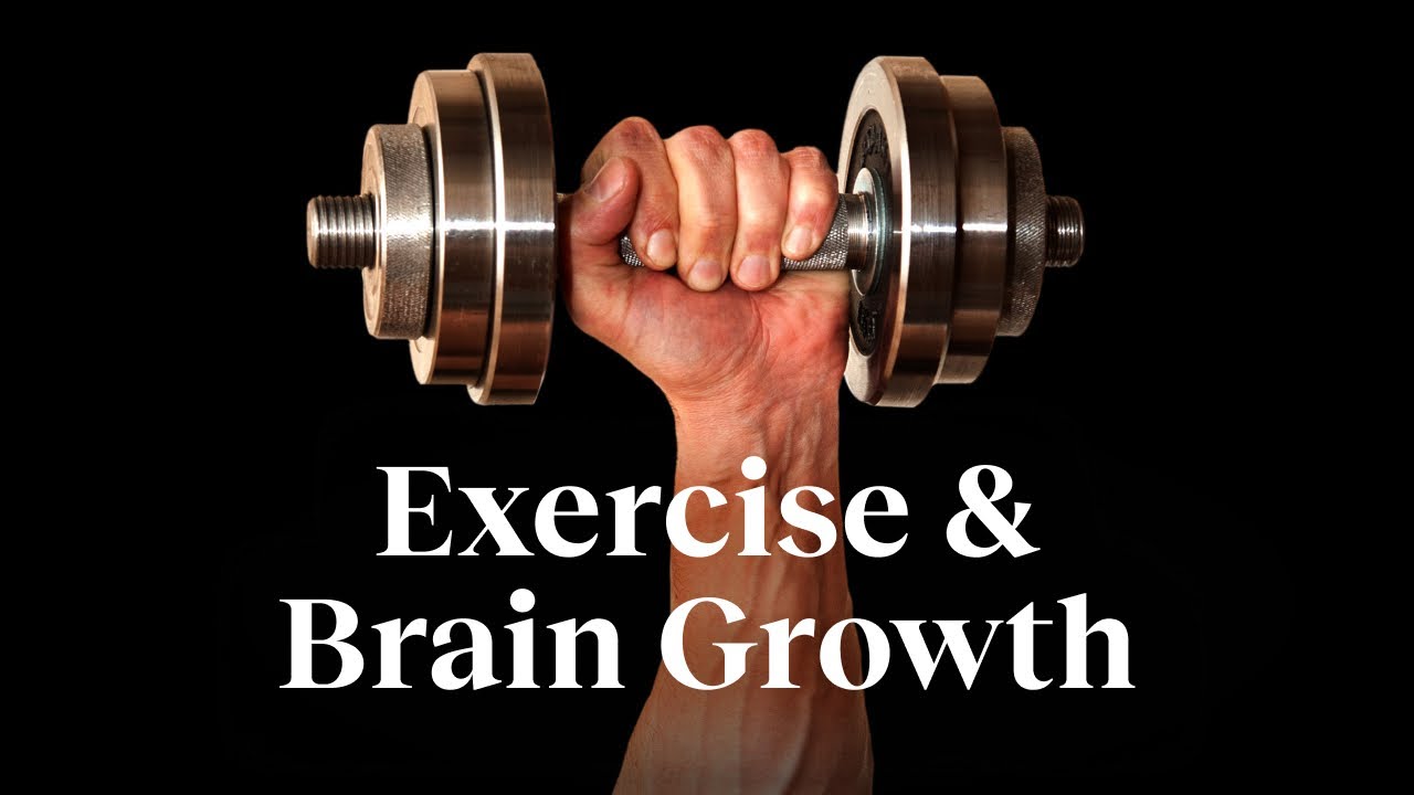 The #1 way to strengthen your mind is to use your body | Wendy Suzuki