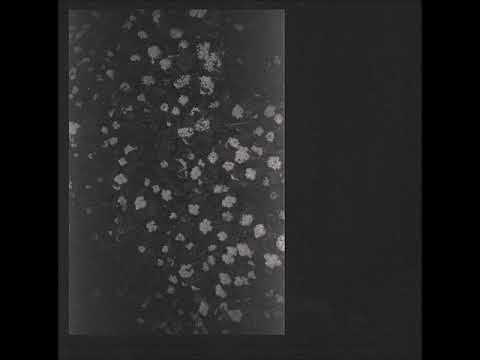 Motorama — Poverty (Full Album)