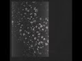 Motorama Poverty Full Album
