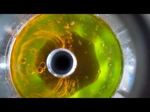 Bay Laurel Leaf Oil Production & Oregano Oil Steam Distillation Extraction -  Origanum Minutiflorum